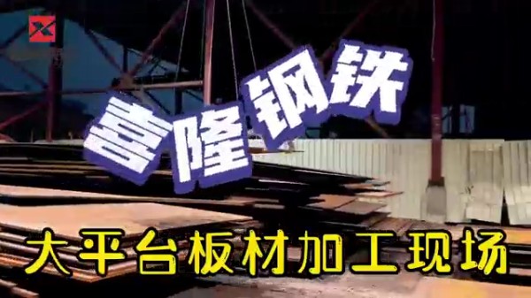 สถานที่แปรรูปแผ่นแพลตฟอร์ม